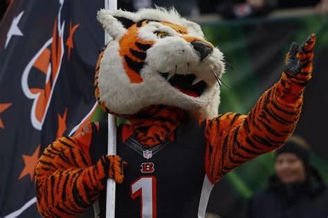 So instead of just naming them the tigers, they decided to name them after a specific kind of tiger for a little more originality. . Reddit cincinnati bengals